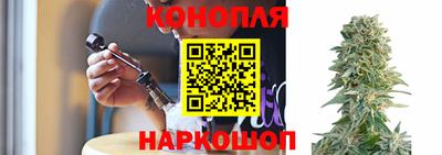 прущие крисы Сланцы