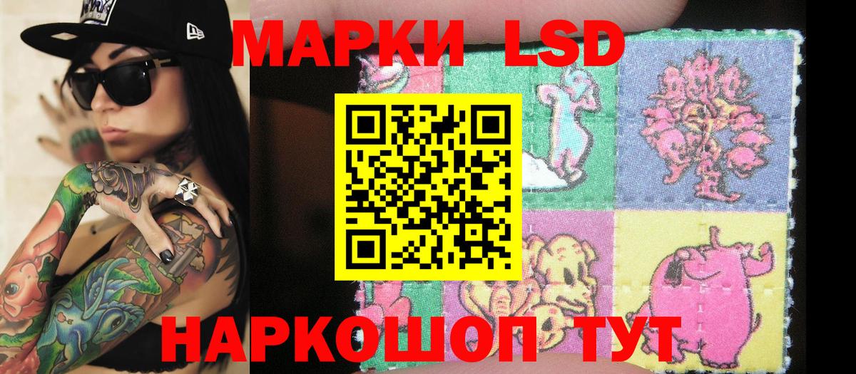 продажа наркотиков  Вход с VPN  Бийск  Марки 25I-NBOMe 1,8мг 